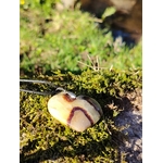 Pendentif cœur en septaria sur mousse en forêt bretonne, dans une lumière naturelle douce, pierre naturelle reliée au calme du mental, à la stabilité et au recentrage.