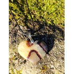 Pendentif cœur en septaria suspendu devant la mousse de forêt bretonne, sous une lumière dorée, pierre naturelle évoquant le recentrage, la force tranquille et l’équilibre intérieur.