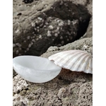 Bol chantant en sélénite 10 cm posé sur roche granitique en Bretagne, avec coquillage clair et galets, pour une pause douce favorisant apaisement, clarté et recentrage.