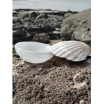 Bol chantant en sélénite 10 cm sur rocher breton, coquillage strié à côté, mer en arrière-plan et ciel gris, pour apaiser l’esprit, clarifier et recentrer en douceur.
