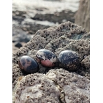 Pierres roulées rhodonite aux nuances rose et noir posées sur des rochers en Bretagne, évoquant apaisement, ancrage et équilibre émotionnel.