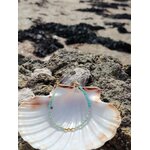 Bracelet fin amazonite naturelle et cuivre plaqué or sur coquillage blanc face à la mer et aux rochers, fluidité émotionnelle