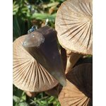 Pendule en pierre de lune noire suspendu devant des champignons en bois décoratifs aux teintes naturelles, dans une ambiance chaleureuse et mystique, évoquant l’intuition, l’ancrage et la protection intérieure