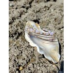 Bracelet semainier quartz rose et acier inoxydable doré photographié sur rochers en Bretagne, éclat doux et charme naturel