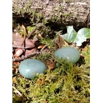 Deux pierres roulées d’aventurine verte sur mousse sous une écorce avec feuille de lierre, pierre naturelle verte pour adoucir les réactions et retrouver plus de recul.