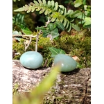 Deux galets polis d’aventurine verte sur tronc moussu avec lierre et fougère, pierre naturelle liée à la détente du cœur et au souffle du renouveau.
