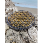 Plateau orgonite obsidienne noire Fleur de Vie sur rocher coquillé au bord de mer en Bretagne, disque noir poli et symbole doré, ancrage profond et protection énergétique.