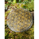 Plateau orgonite obsidienne noire Fleur de Vie sur rocher coquillé au bord de mer en Bretagne, symbole doré lumineux, stabilité émotionnelle et enracinement.