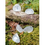 Cristal de roche naturel présenté en lumière douce, pierre transparente associée à recentrage et élévation vibratoire.