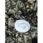 Pendentif coquillage œil de Sainte Lucie blanc sur cordon noir, posé sur roche sombre en bord de mer, bijou marin naturel de protection et de douceur.