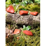 Pierres roulées de jaspe rouge sur décor bois avec herbe, pierres naturelles évoquant la force tranquille, l’élan intérieur et l’équilibre émotionnel.