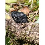 Tourmaline noire brute en gros plan sur écorce d’arbre en forêt en Bretagne, pierre naturelle associée à la maîtrise de soi, à la protection subtile et à la présence à soi.