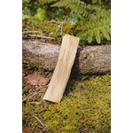 Bâtons de Palo Santo du Pérou en forêt sur mousse et écorce naturelle, bois blond aux veines visibles, purification énergétique et apaisement intérieur.