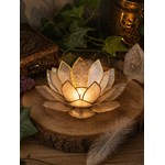 Photophore lotus nacré doré allumé sur tranche de bois, ambiance chaleureuse avec lierre en fond.
