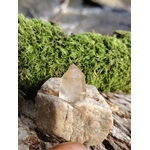 Pointe citrine naturelle présentée sur pierre claire avec mousse verte en fond, cristal poli jaune pâle, abondance, confiance et dynamisme.