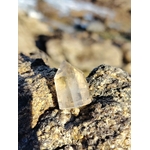 Pointe citrine naturelle posée sur bois brut en extérieur, cristal poli aux reflets miel et transparences douces, lumière naturelle et ambiance minérale.