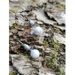 Boucles d’oreilles puces Howlite blanche 6 mm en acier inoxydable argenté, perles veinées posées sur bois pour calme mental et apaisement.