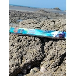Encens AUM Yemayá Iemanjá posé sur rocher en bord de mer breton, support rituel lié aux eaux et au calme.