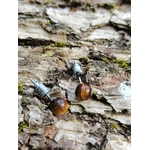 Boucles d’oreilles puces œil de tigre 6 mm en acier inoxydable, perles brunes aux reflets dorés pour bijou discret.