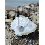 Pendentif pointe Labradorite dans une coquille en bord de mer, bijou naturel en acier inoxydable pour intuition et préservation énergétique.