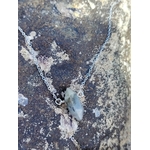 Pendentif Labradorite sur roche côtière, pointe gris clair avec inclusions noires et chaîne fine pour protection symbolique et recentrage.