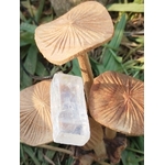 Pendentif Calcite Optique présenté entre champignons décoratifs en bois, pierre claire et cordon noir pour douceur mentale et énergie cristalline.