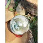 Minéral poli Agate Arbre vu de près sur rondin, nuances brumeuses et connexion symbolique à la nature.