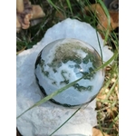Pierre Agate Arbre sur roche claire parmi les herbes, marbrures vertes et blanches pour le recentrage.