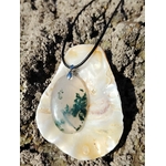 Agate Mousse ovale posée dans un coquillage sur roche bretonne, nuances translucides et dendrites vertes.