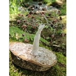 Création Magic Gaïa arbre en rhodonite sur socle bois et cristal, posé sur mousse près d’un ruisseau en forêt, douceur émotionnelle.