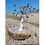 Arbre en rhodonite création Magic Gaïa sur bois et cristal, photographié sur rocher face à la mer en Bretagne.