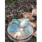 Morceaux de fluorite verte naturelle sur rondelle de bois au cœur du sous-bois, pierre brute de lithothérapie