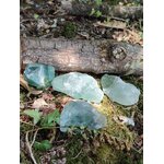 Cristaux de fluorite verte sur sol forestier avec mousse et bois, minéraux bruts naturels aux reflets vert pâle