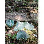 Fluorine verte brute présentée sur mousse et feuilles en forêt, cristaux naturels verts translucides de collection