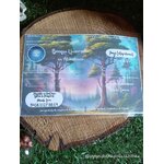 Cheque-d-abondance-Magic-Gaia-zoom