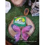 Encens-cones-noix-de-coco-Magic-Gaia-big