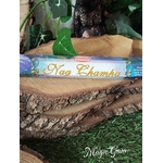 encens nagchampa fragrance exotique meditation magicgaia