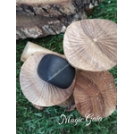 shungite pierre roulée ancrage ondes électromagnétiques chakras russie compteur linky box internet protection mauvaises fréquentations  bienfait lithothérapie vertus  magic gaia