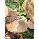 Clous d’oreilles Labradorite 6 mm, inox 304 hypoallergénique, reflets bleutés, décor champignon