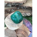 Pierre roulée en malachite verte veinée, gros plan, posée sur de petits champignons secs, fond bois flou