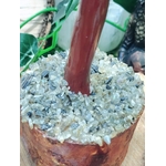 Gros plan sur la base d’un arbre de vie en labradorite en Bretagne, socle en bois et éclats minéraux polis, ancrage et clarté intérieure.