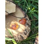 Deux pendentifs cœur en ambre naturel posés sur une section de bois près d’herbes au soleil, bijoux lumineux évoquant la douceur, l’énergie chaleureuse et l’harmonie intérieure.