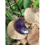 CCollier lune en améthyste violette sur décor végétal et champignons, pendentif pierre naturelle évoquant l’apaisement du stress, la rêverie et l’équilibre émotionnel.