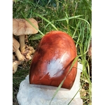 Forme libre Cornaline naturelle sur pierre blanche en nature, pierre orange-rouge pour la lithothérapie – vitalité, créativité, confiance en soi, chakra sacré.