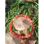Bracelet cornaline 6 mm posé sur des champignons décoratifs, perles orange en pierre naturelle pour dynamisme, assurance et élan créatif