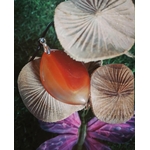 Pendentif en Cornaline naturelle au milieu de champignons décoratifs, bijou orange pour vitalité, créativité et concentration