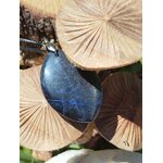 Pendentif sodalite bleue marquise posé sur champignons, bijou en pierre naturelle évoquant la lucidité, la tranquillité émotionnelle et la communication authentique.