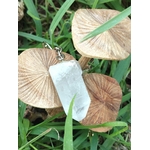 Porte-clés / bijou de sac en cristal de roche taillé en pointe facettée, posé sur des feuilles rondes beiges au milieu de brins d’herbe verte, décor nature
