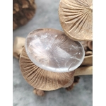 Galet de cristal de roche poli présenté sur supports en bois décoratifs, pierre roulée translucide avec inclusions naturelles évoquant la lucidité, la neutralité émotionnelle et la présence à soi.