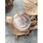 Galet cristal de roche poli avec inclusions naturelles, posé sur supports en bois sculpté en gros plan, pierre transparente associée à la netteté intérieure, à la concentration et au recentrage.